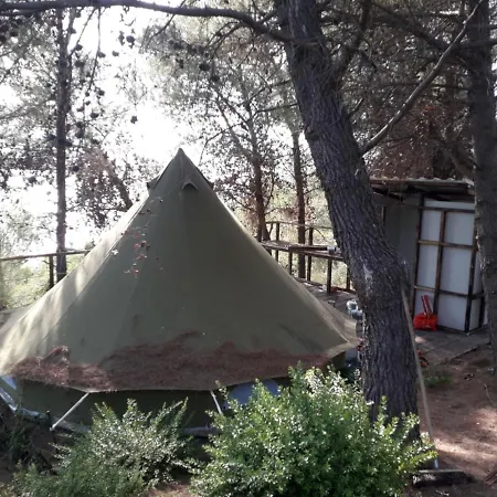 Zelt 5 Camp West