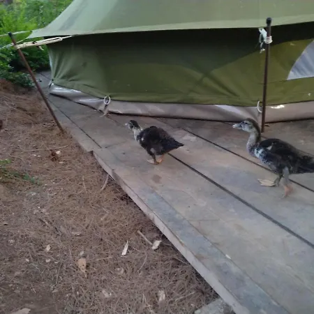 Σπίτι διακοπών Zelt 5 Camp West *